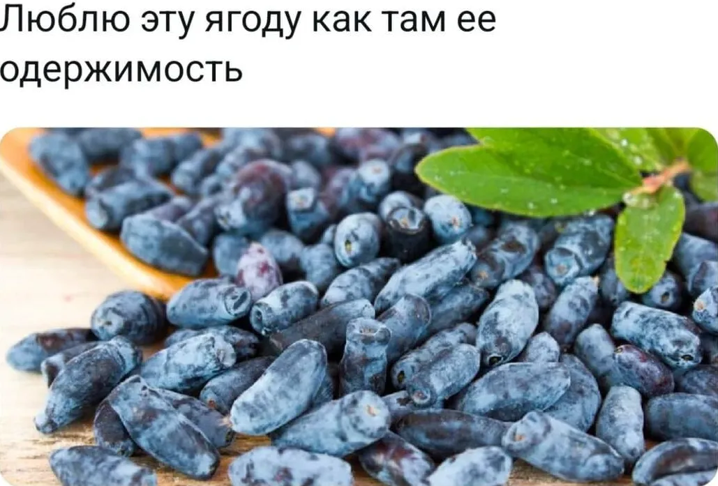 Стенд сетевой визуализации — итоговый концепт